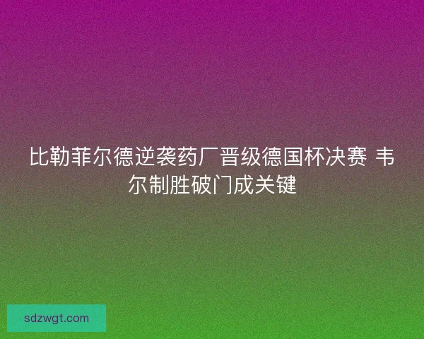 比勒菲尔德逆袭药厂晋级德国杯决赛 韦尔制胜破门成关键