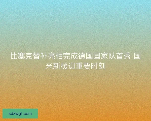 比塞克替补亮相完成德国国家队首秀 国米新援迎重要时刻