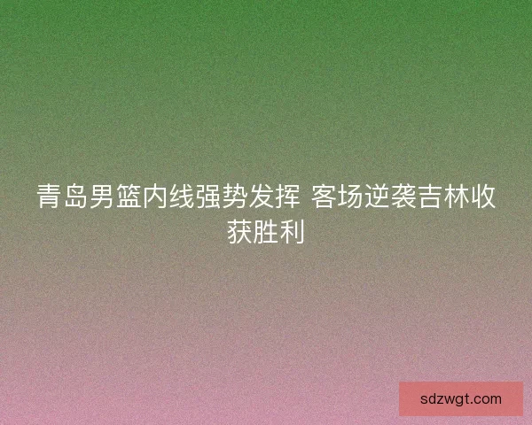 青岛男篮内线强势发挥 客场逆袭吉林收获胜利