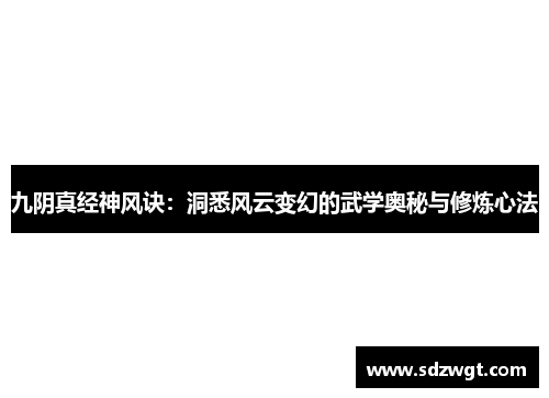 九阴真经神风诀：洞悉风云变幻的武学奥秘与修炼心法