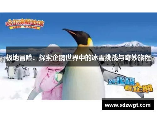 极地冒险：探索企鹅世界中的冰雪挑战与奇妙旅程